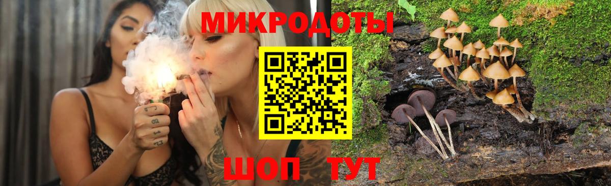 Псилоцибиновые грибы Psilocybine cubensis Сердобск